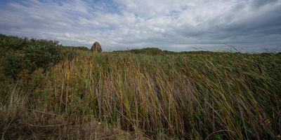 Sound mirror, Greatstone