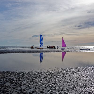Low Tide Walk