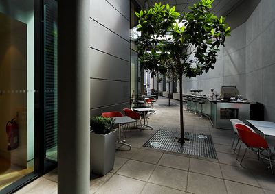 Interior Landscape