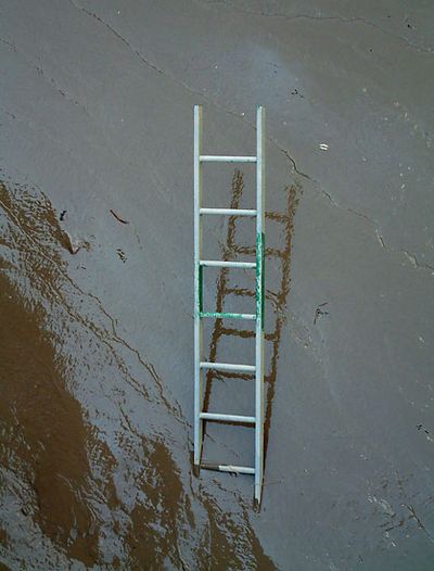 Ladder in a Ladder, Ladder Got Lost